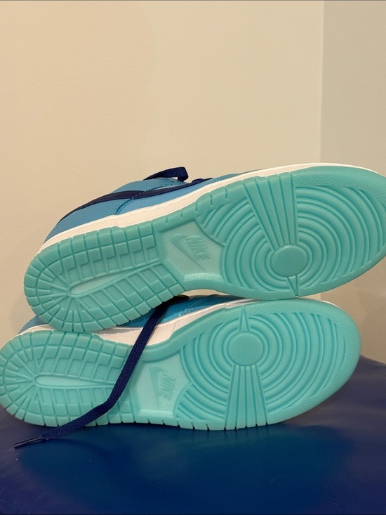 Nike Dunk Low SE Turquoise Navy Orange Low Top Sneaker main image 6